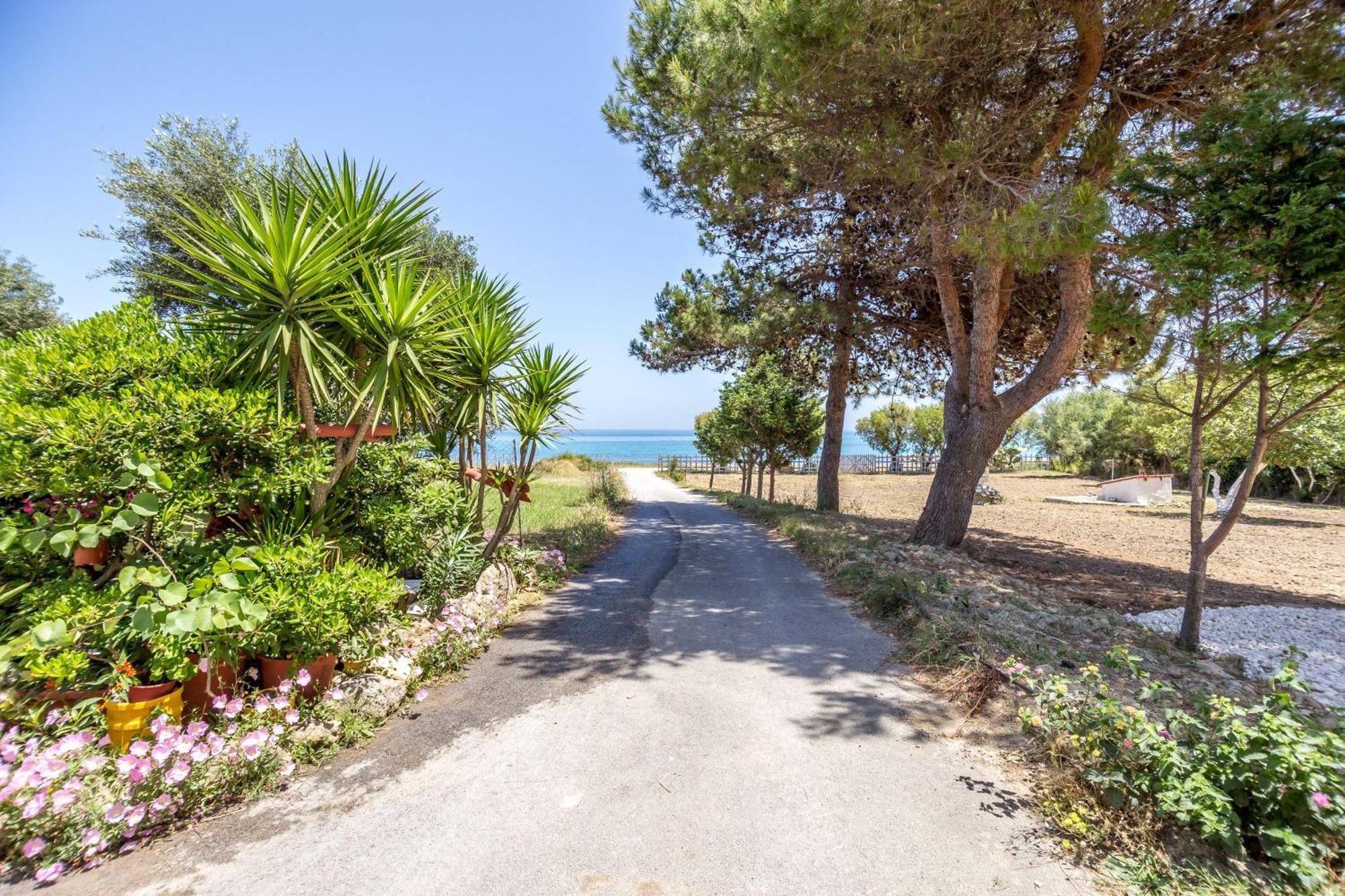 Casa Di Mare - Studios And Apartments On The Beach Vasilikos  Exterior photo
